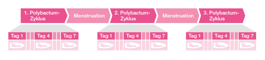 Polybactum Anwendungsschema